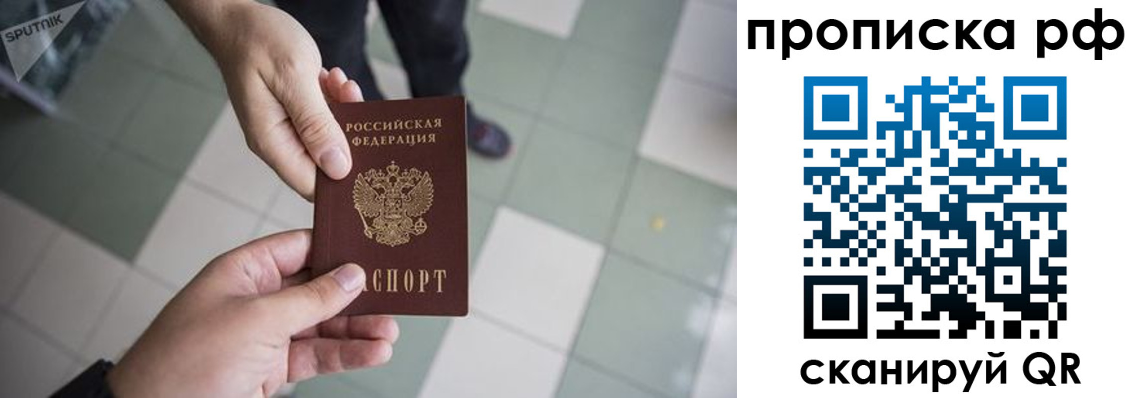 прописка гарантия в Ельне